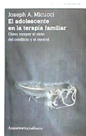 ADOLESCENTE EN LA TERAPIA FAMILIAR 2¦ED,EL de AMORRORTU EDITORES S.A.