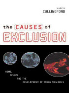 Causes of Exclusion de Taylor & Francis Ltd
