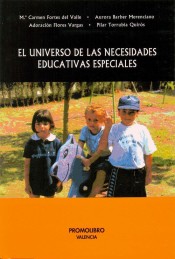 El universo de las necesidades educativas especiales