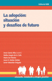 La adopción: situación y desafíos de futuro de CCS