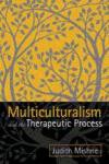 Multiculturalism and the Therapeutic Process