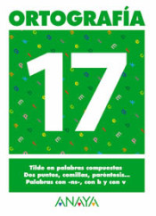 Ortografía 17